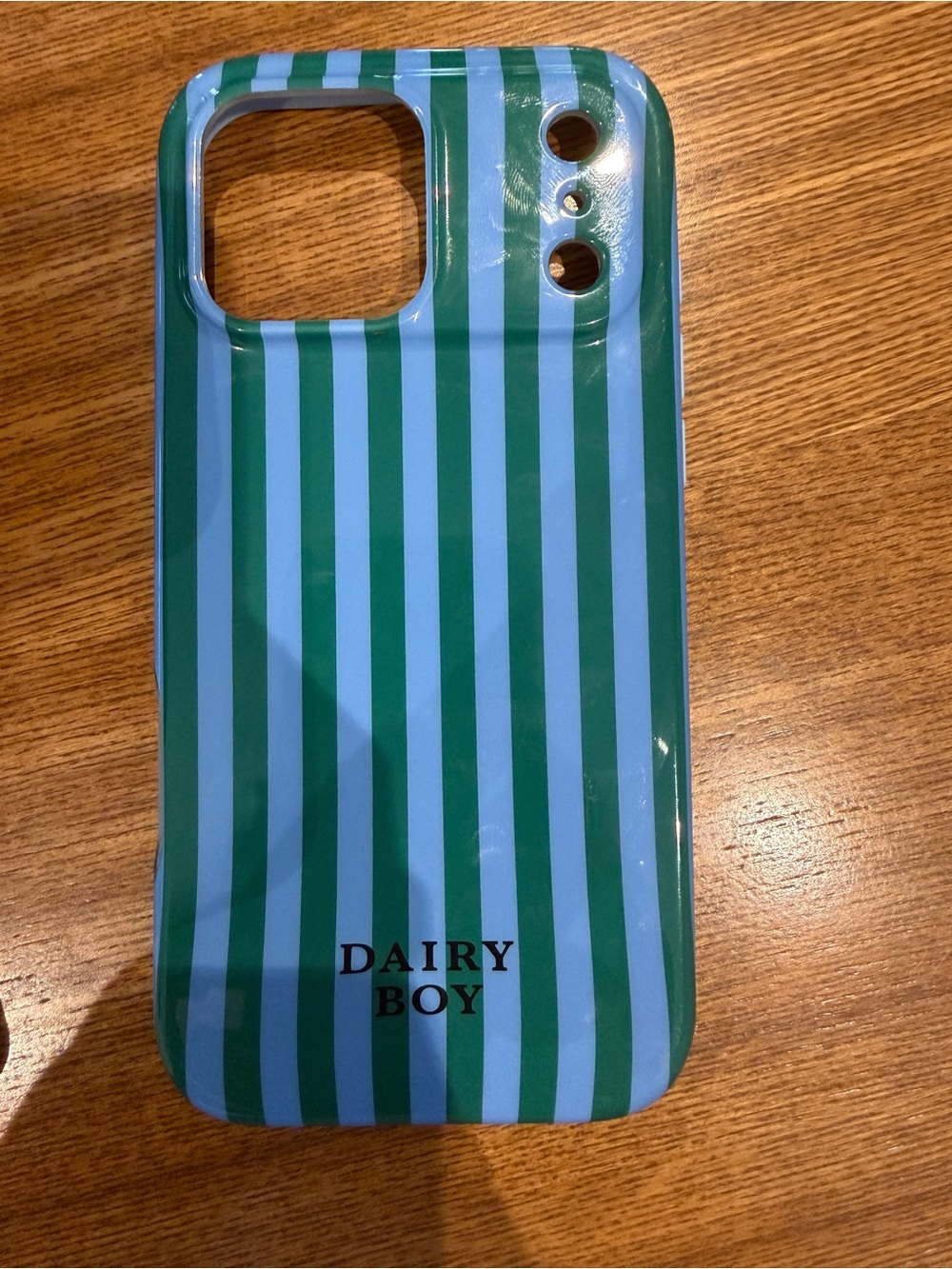 Farm Friends 17 Pro Max Case - Blueberry Lane